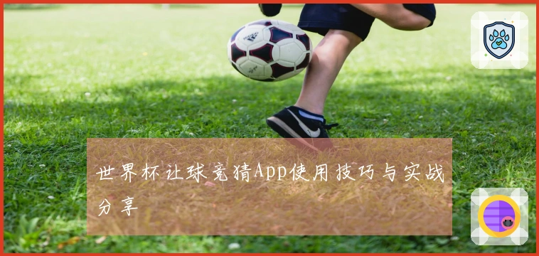 世界杯让球竞猜App使用技巧与实战分享