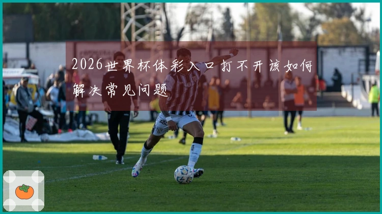2026世界杯体彩入口打不开该如何解决常见问题