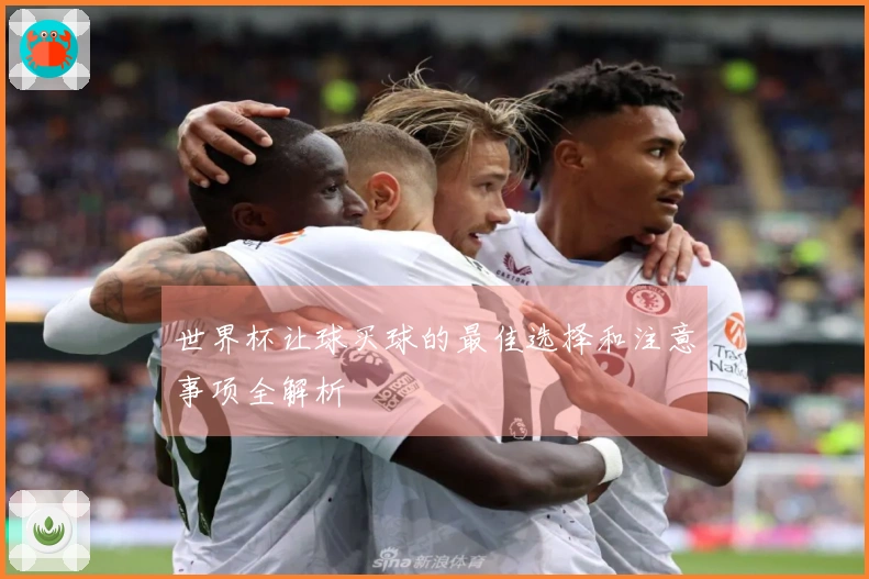 世界杯让球买球的最佳选择和注意事项全解析