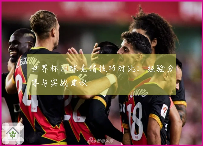 世界杯让球竞猜技巧对比：经验分享与实战建议