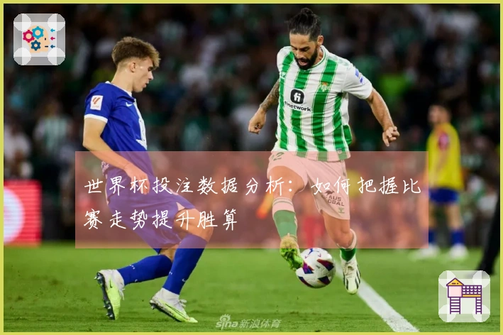 世界杯投注数据分析：如何把握比赛走势提升胜算