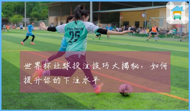 世界杯让球投注技巧大揭秘，如何提升你的下注水平