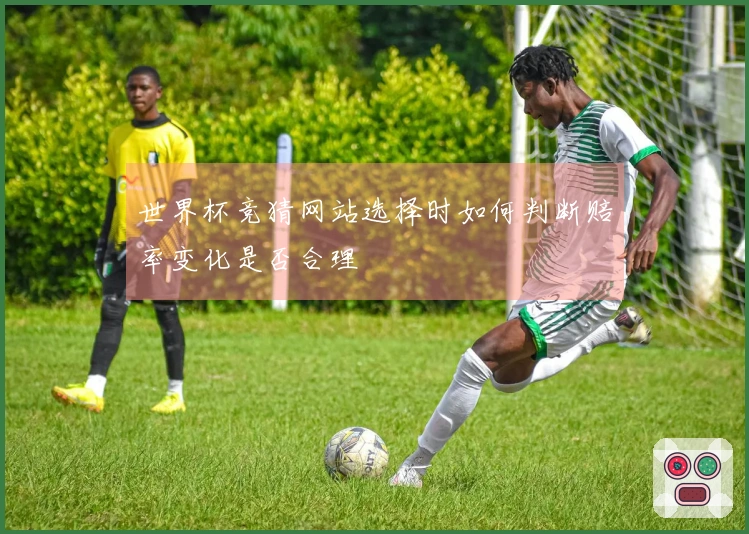 世界杯竞猜网站选择时如何判断赔率变化是否合理