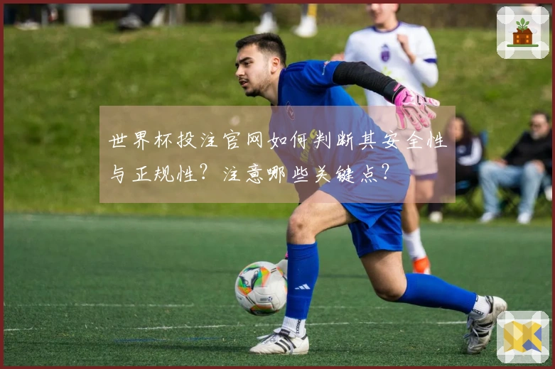 世界杯投注官网如何判断其安全性与正规性？注意哪些关键点？