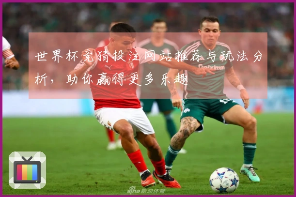 世界杯竞猜投注网站推荐与玩法分析，助你赢得更多乐趣