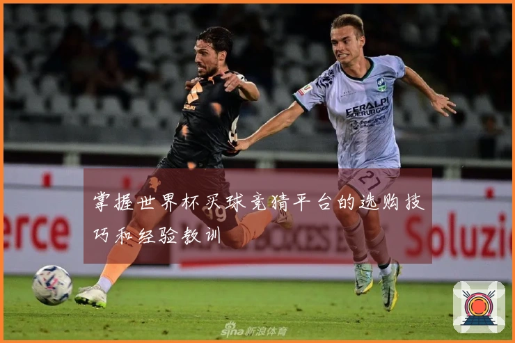 掌握世界杯买球竞猜平台的选购技巧和经验教训