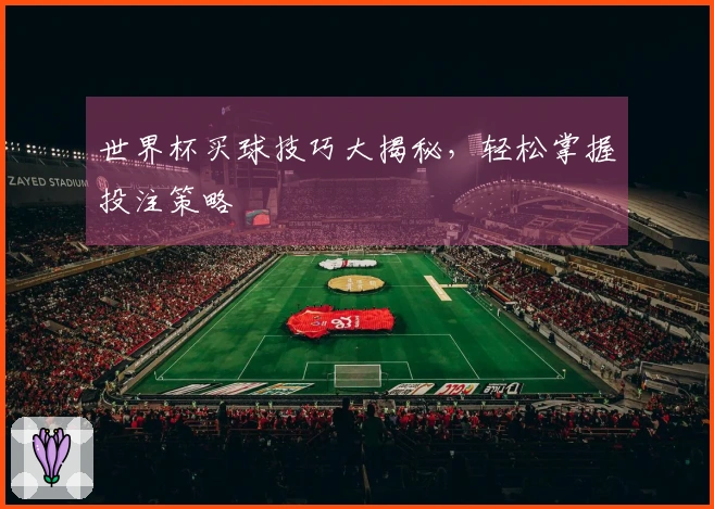 世界杯买球技巧大揭秘，轻松掌握投注策略