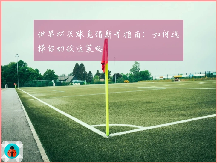 世界杯买球竞猜新手指南：如何选择你的投注策略