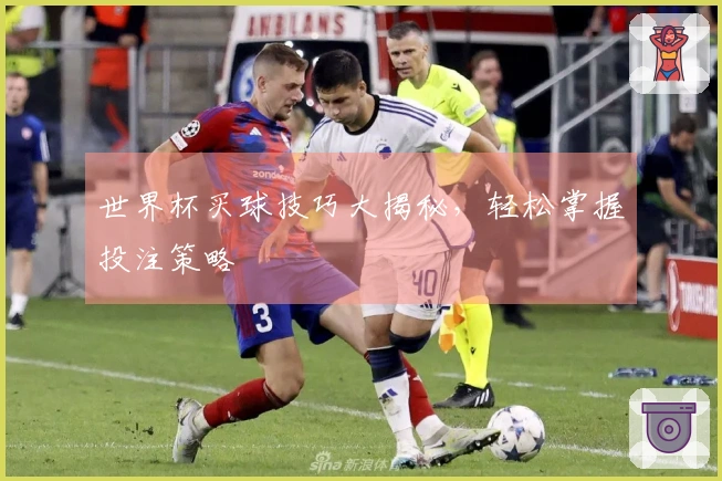 世界杯买球技巧大揭秘，轻松掌握投注策略
