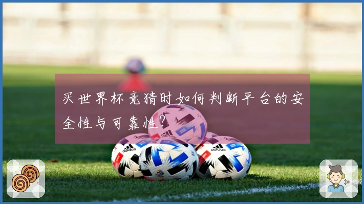 买世界杯竞猜时如何判断平台的安全性与可靠性？