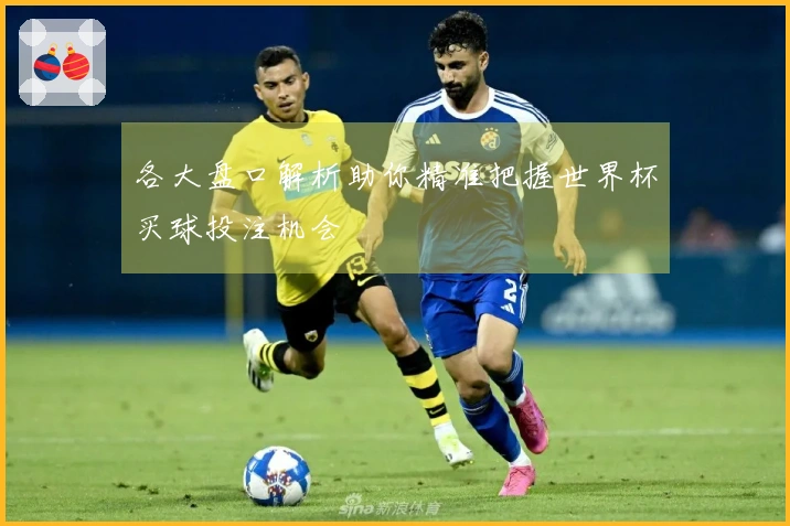 各大盘口解析助你精准把握世界杯买球投注机会