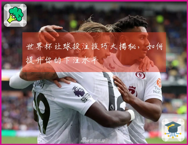 世界杯让球投注技巧大揭秘，如何提升你的下注水平