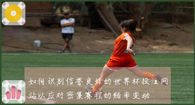 如何识别信誉良好的世界杯投注网站以应对密集赛程的赔率变动