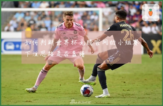如何判断世界杯竞猜官网的小组赛下注思路是否靠谱
