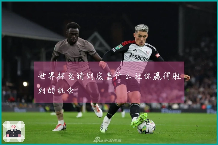 世界杯竞猜到底靠什么让你赢得胜利的机会