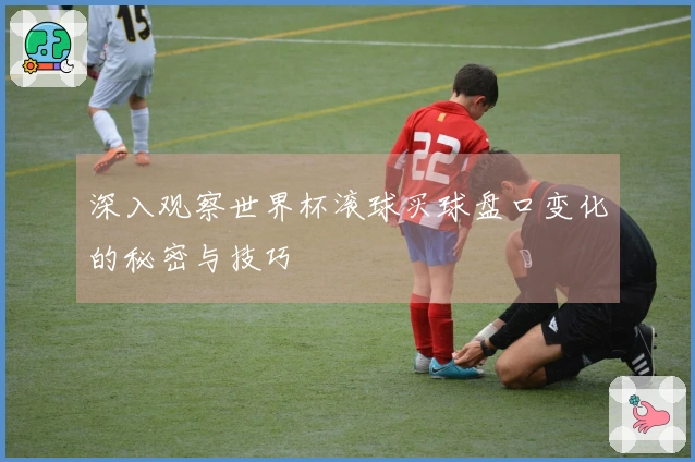 深入观察世界杯滚球买球盘口变化的秘密与技巧