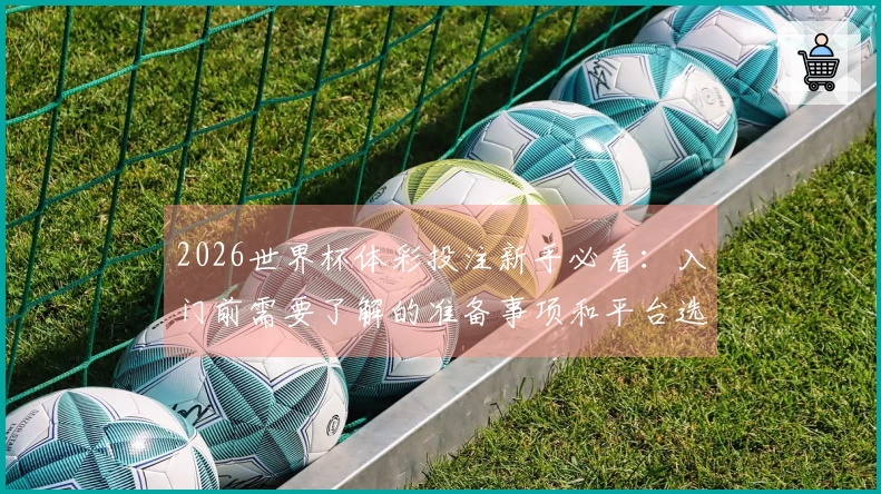 2026世界杯体彩投注新手必看：入门前需要了解的准备事项和平台选择技巧