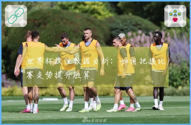 世界杯投注数据分析：如何把握比赛走势提升胜算