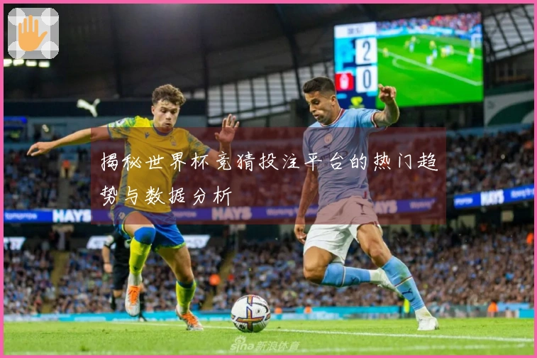 揭秘世界杯竞猜投注平台的热门趋势与数据分析