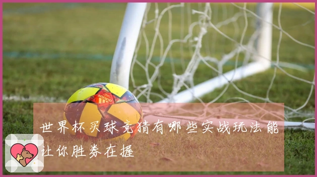 世界杯买球竞猜有哪些实战玩法能让你胜券在握