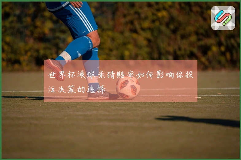 世界杯滚球竞猜赔率如何影响你投注决策的选择