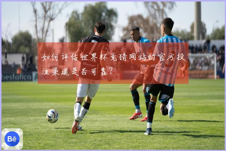 如何评估世界杯竞猜网站的官方投注渠道是否可靠？